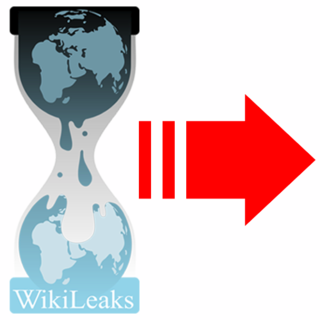 wikileaks.org image